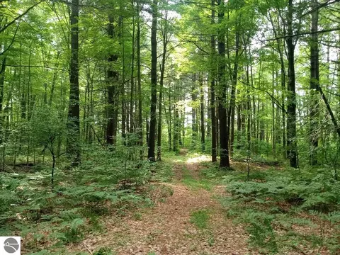 M-65, Twining, MI 48766 photo 8