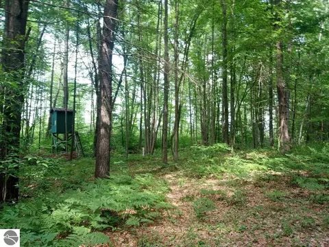 M-65, Twining, MI 48766 photo 7