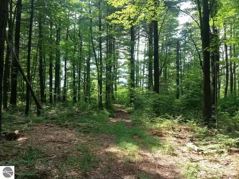 M-65, Twining, MI 48766 photo 9