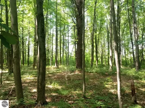 M-65, Twining, MI 48766 photo 2