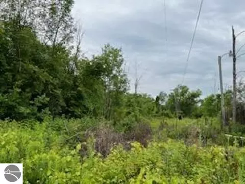 N/a Tonkey Road, Au Gres, MI 48703 photo 3