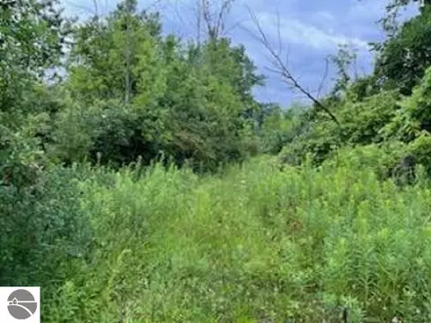 N/a Tonkey Road, Au Gres, MI 48703 photo 2