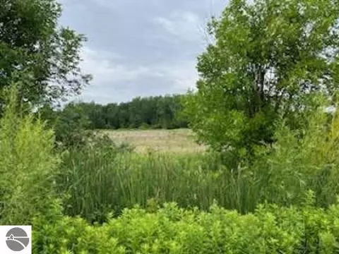 N/a Tonkey Road, Au Gres, MI 48703 photo 6