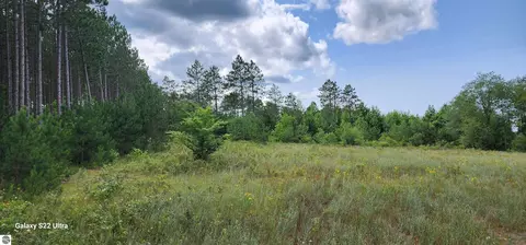 616 NW Sky Blf, Rapid City, MI 49676