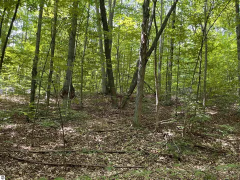 Vl Heideldorf Drive, Bellaire, MI 49615