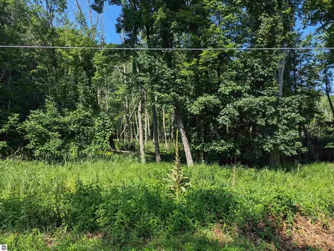 N/a Rumsey Road, Au Gres, MI 48703 photo 3