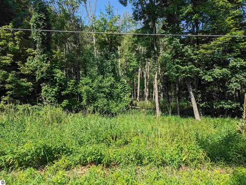 N/a Rumsey Road, Au Gres, MI 48703 photo 4