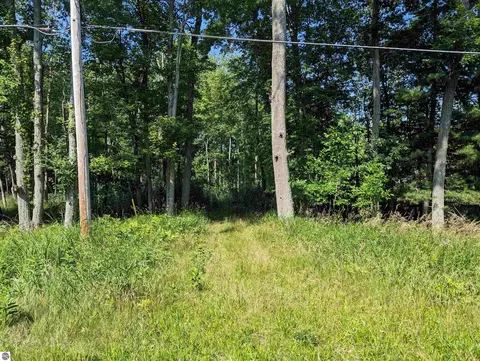 N/a Rumsey Road, Au Gres, MI 48703 photo 2