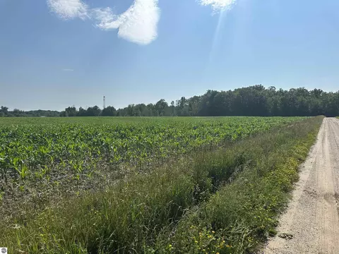 Vl Forest Road, Marion, MI 49665