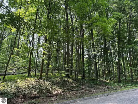 36 37 Courchevel Ln, Bellaire, MI 49615