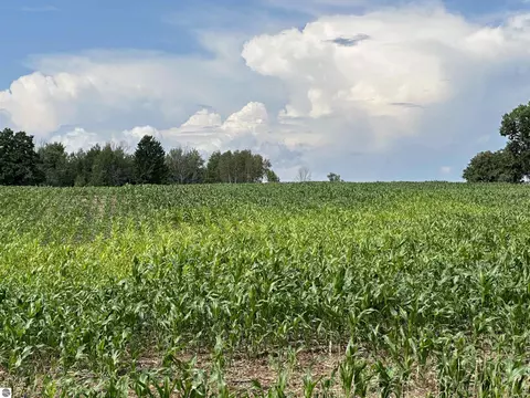 Vl2 19 Mile Road, Marion, MI 49665