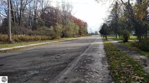 N/a S Main Street, Au Gres, MI 48703 photo 2