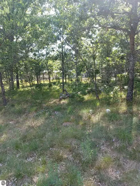Indian Trail, Oscoda, MI 48750