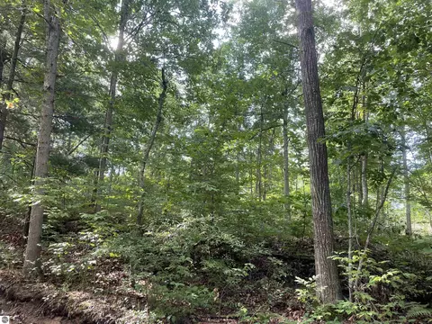 Riley Road, Interlochen, MI 49643 photo 5