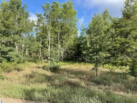 Riley Road, Interlochen, MI 49643 photo 3