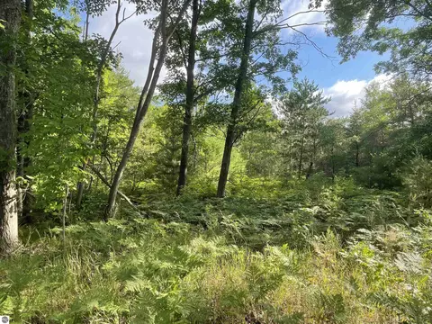 Riley Road, Interlochen, MI 49643 photo 7
