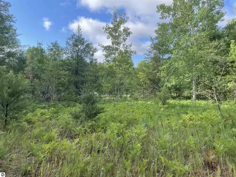 Riley Road, Interlochen, MI 49643 photo 8