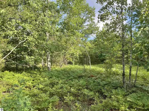 Riley Road, Interlochen, MI 49643 photo 6