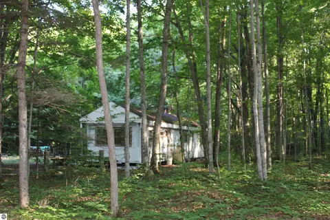 8606 NElk Ln, Mancelona, MI 49659