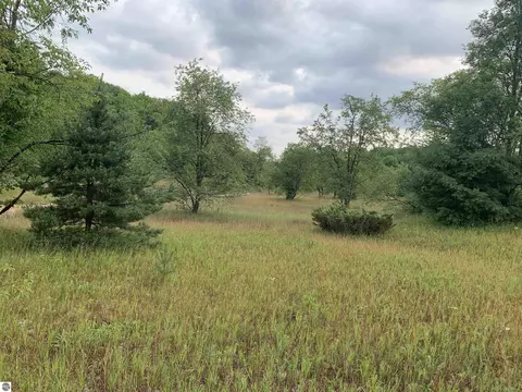 Parcel 17 Trail 33 Lane, Mancelona, MI 49659