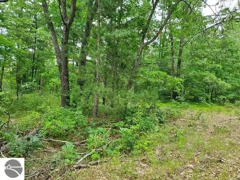 0 Summit Dr, Omer, MI 48749 photo 7