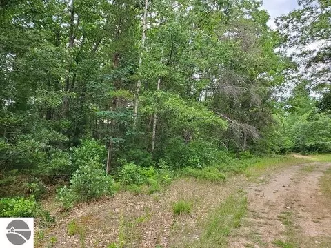 0 Summit Dr, Omer, MI 48749 photo 3