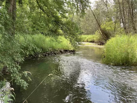 N/a Beechwood Road, Rose City, MI 48654