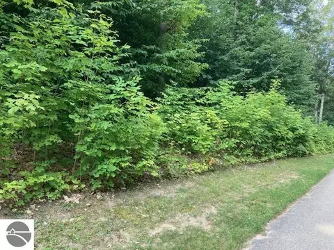 lot275 Robinson Rdg, Bellaire, MI 49615
