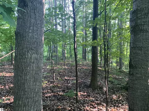 Lot 35 Valley View Road, Bellaire, MI 49615