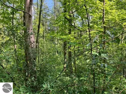 Fredmar Drive, Interlochen, MI 49643