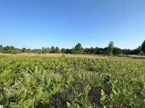 W 14 Road, Mesick, MI 49668