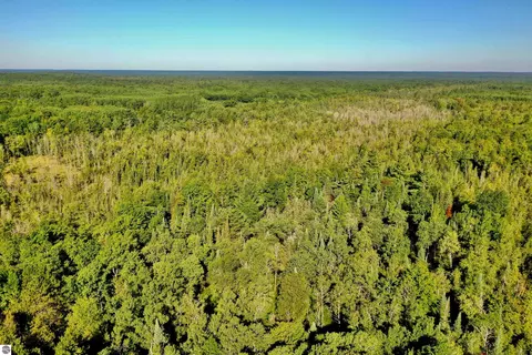 N 29 Road, Manton, MI 49663