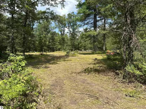 16624 Poder Dr, Marion, MI 49665 photo 2