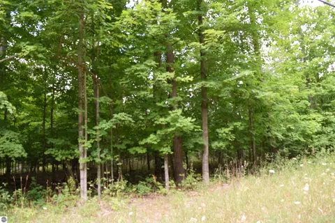 00 Rahe Rd # -B, Kingsley, MI 49649