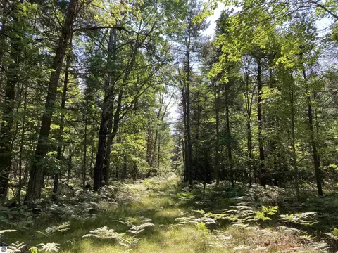N/a Perry Holt Road, West Branch, MI 48661