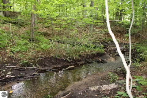 004 NE Apple Creek Rd, Kalkaska, MI 49646