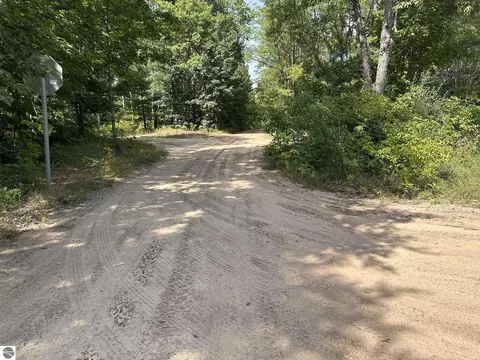 Betsie River Road, Interlochen, MI 49643 photo 6