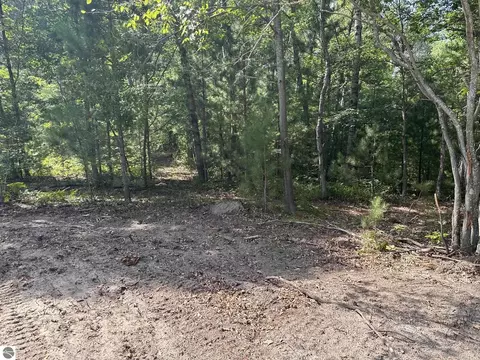 Betsie River Road, Interlochen, MI 49643 photo 11