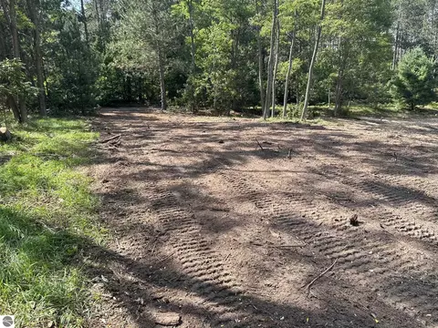 Betsie River Road, Interlochen, MI 49643 photo 7