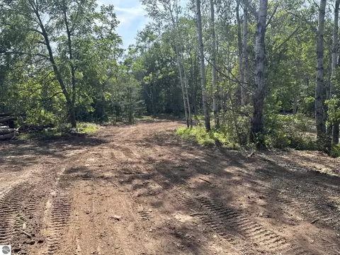 Betsie River Road, Interlochen, MI 49643 photo 9