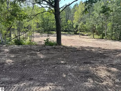 Betsie River Road, Interlochen, MI 49643 photo 3