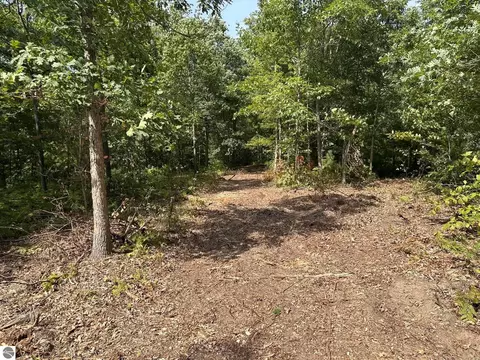 Betsie River Road, Interlochen, MI 49643 photo 8