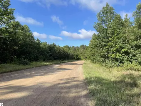 Betsie River Road, Interlochen, MI 49643 photo 5