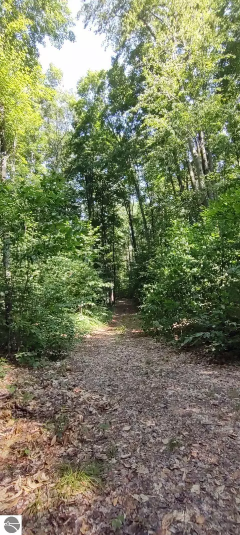Vl Trail 21 Lan Smith Lake Road, Mancelona, MI 49659