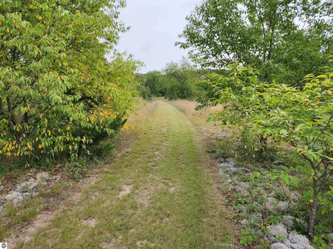 Nnnn Tobias Road, Elmira, MI 49730