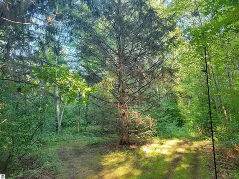 N Coleman Road, Shepherd, MI 48883