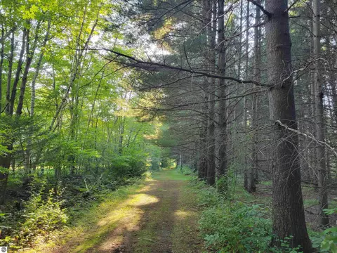 N Coleman Road, Shepherd, MI 48883 photo 5