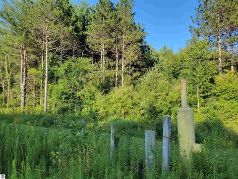 N Coleman Road, Shepherd, MI 48883 photo 2