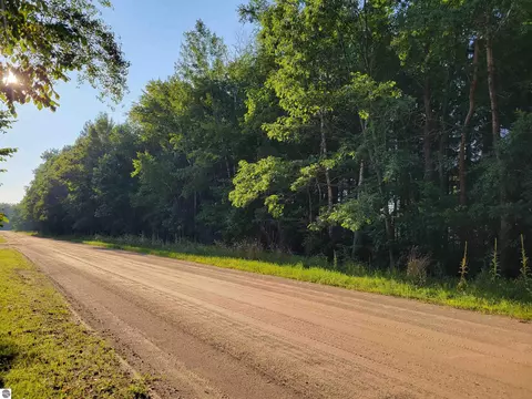 N Coleman Road, Shepherd, MI 48883 photo 8