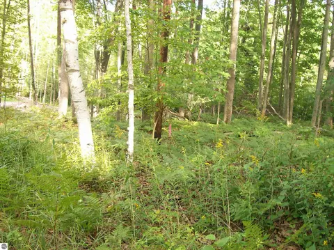 Lot 484 N Ogemaw Trail, West Branch, MI 48661